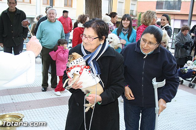 Bendicin animales - San Antn 2012 - 157