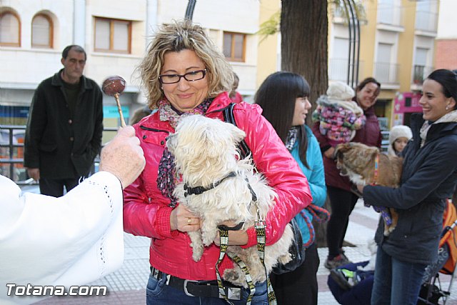 Bendicin animales - San Antn 2012 - 158