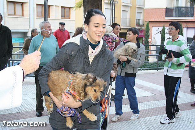 Bendicin animales - San Antn 2012 - 160