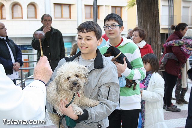 Bendicin animales - San Antn 2012 - 161