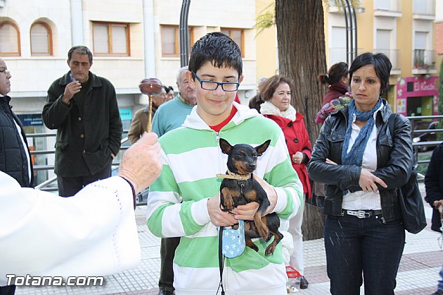 Bendicin animales - San Antn 2012 - 162