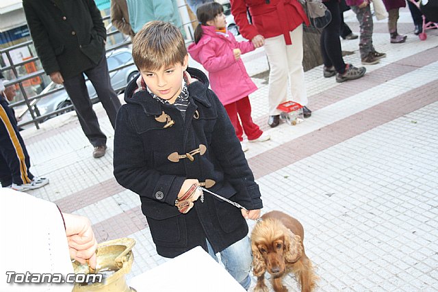 Bendicin animales - San Antn 2012 - 164