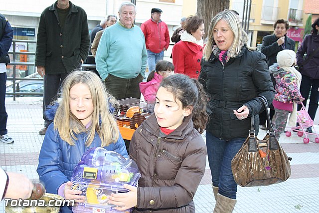 Bendicin animales - San Antn 2012 - 166