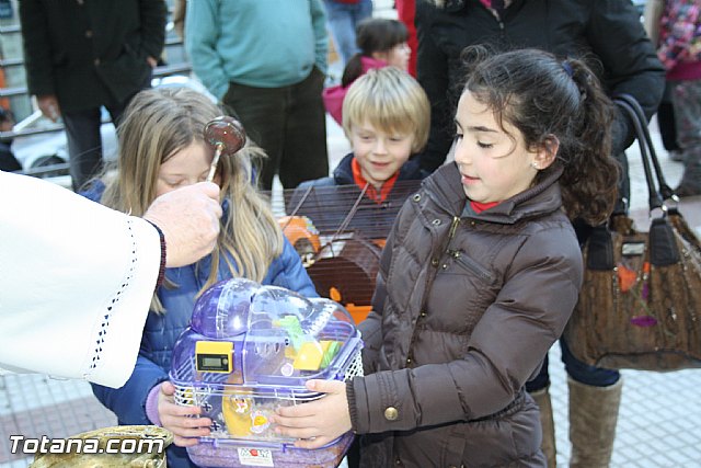 Bendicin animales - San Antn 2012 - 167