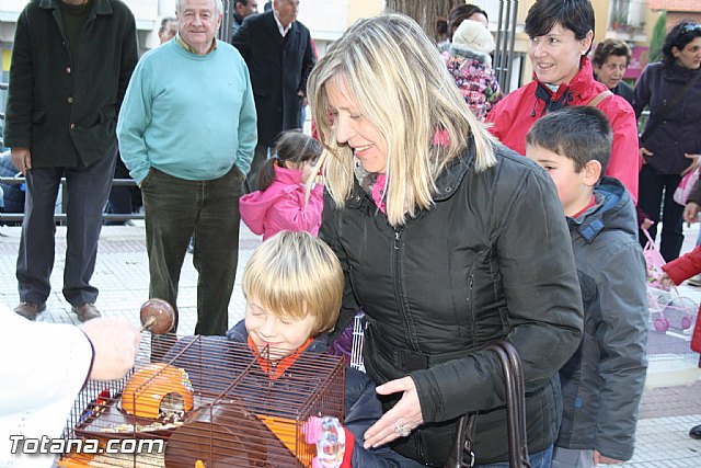 Bendicin animales - San Antn 2012 - 168