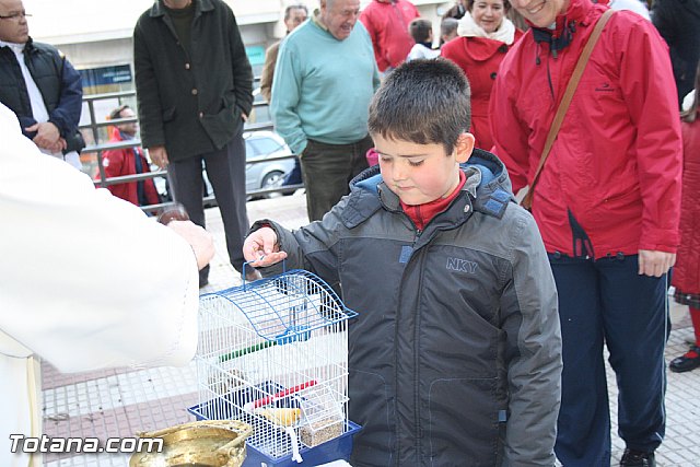 Bendicin animales - San Antn 2012 - 169