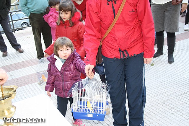 Bendicin animales - San Antn 2012 - 171