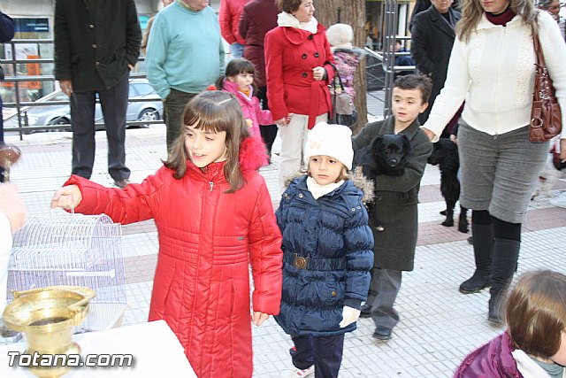 Bendicin animales - San Antn 2012 - 172