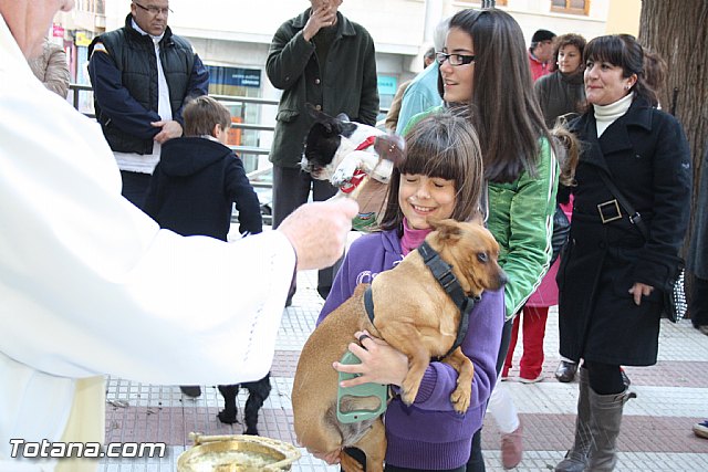 Bendicin animales - San Antn 2012 - 173