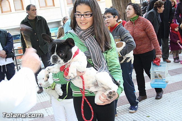 Bendicin animales - San Antn 2012 - 174
