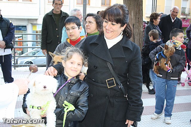 Bendicin animales - San Antn 2012 - 176