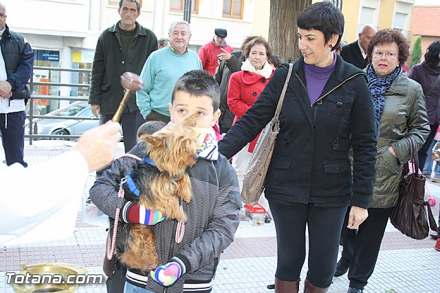 Bendicin animales - San Antn 2012 - 179