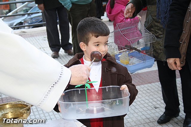 Bendicin animales - San Antn 2012 - 180