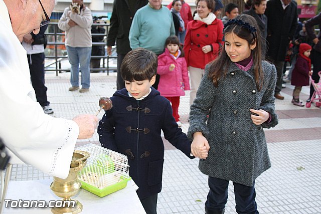 Bendicin animales - San Antn 2012 - 184