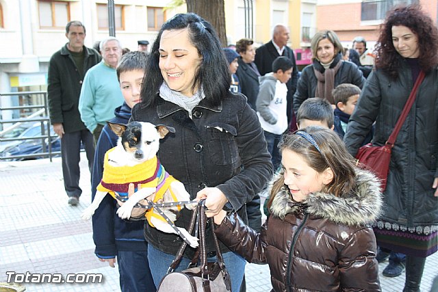 Bendicin animales - San Antn 2012 - 186