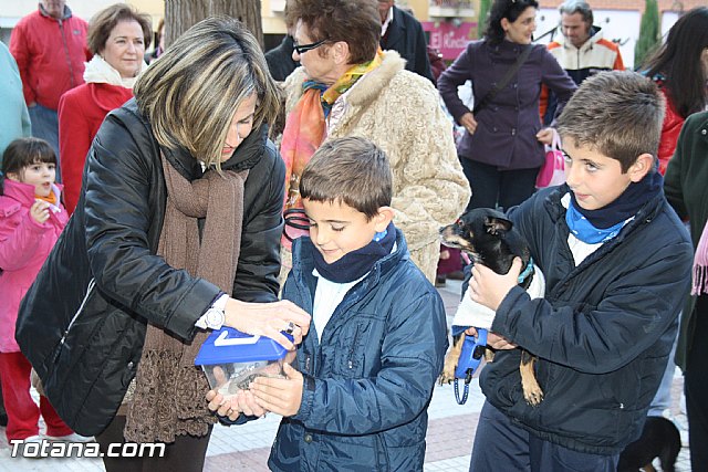 Bendicin animales - San Antn 2012 - 188
