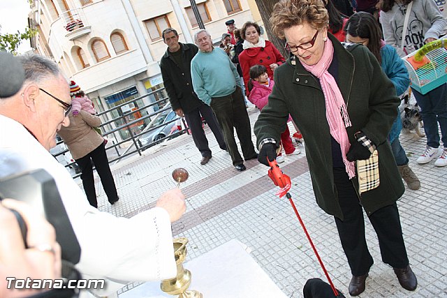 Bendicin animales - San Antn 2012 - 192