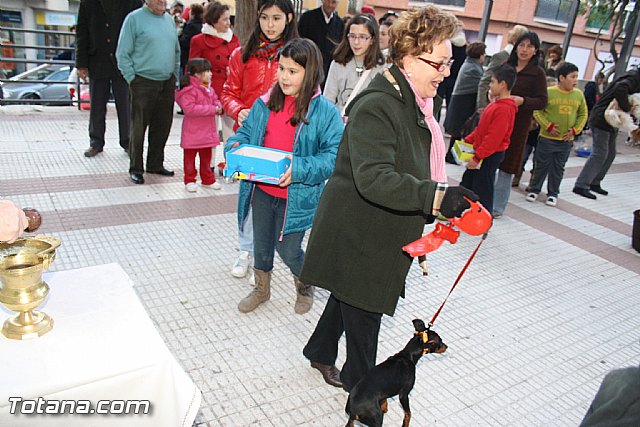 Bendicin animales - San Antn 2012 - 193