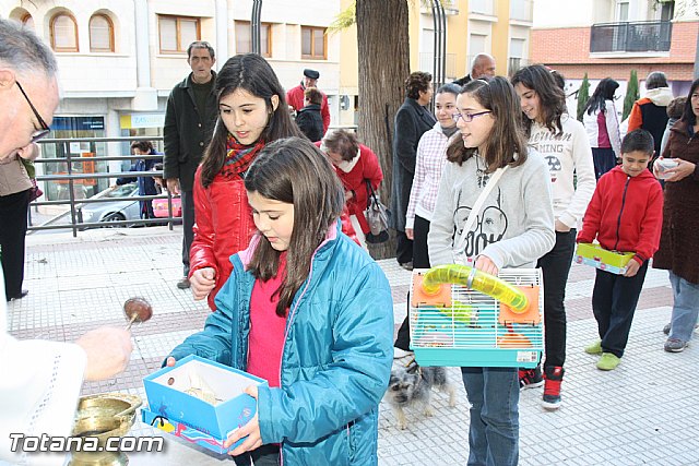 Bendicin animales - San Antn 2012 - 194