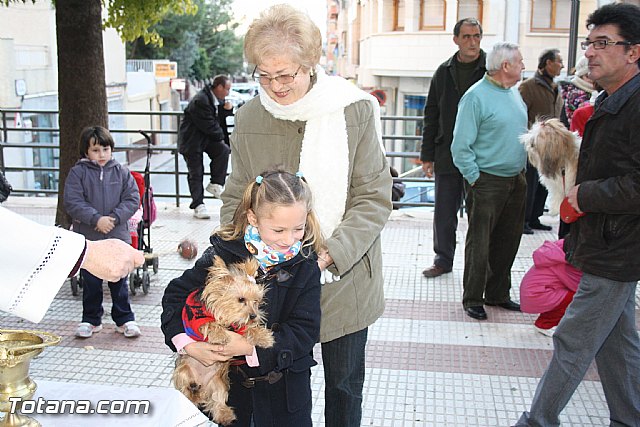 Bendicin animales - San Antn 2012 - 198