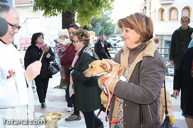 Bendicin animales - San Antn 2012 - 200