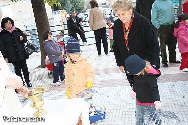 Bendicin animales - San Antn 2012 - 201