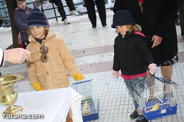 Bendicin animales - San Antn 2012 - 202