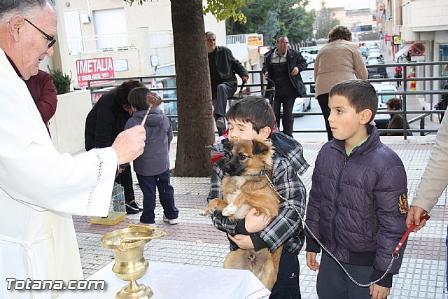 Bendicin animales - San Antn 2012 - 205