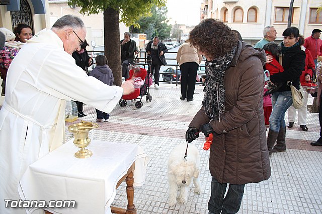 Bendicin animales - San Antn 2012 - 206
