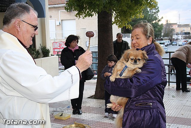 Bendicin animales - San Antn 2012 - 210