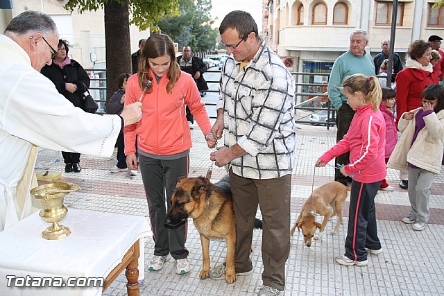 Bendicin animales - San Antn 2012 - 211