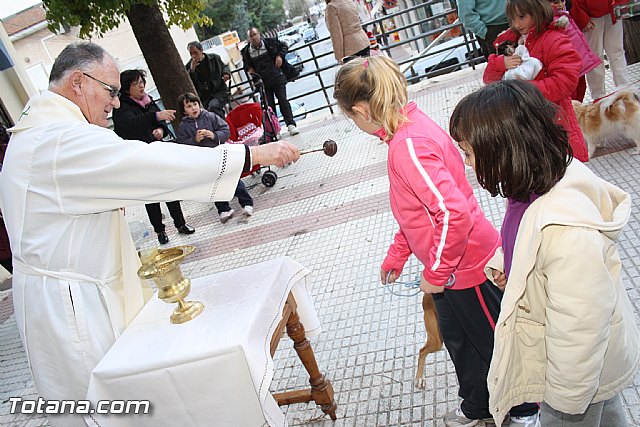 Bendicin animales - San Antn 2012 - 212