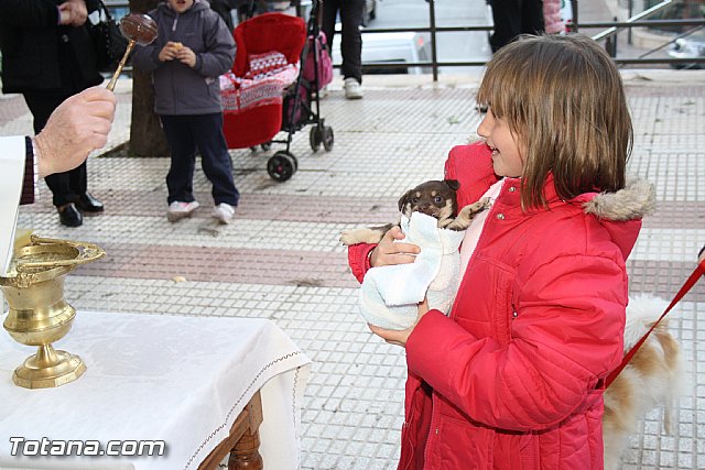 Bendicin animales - San Antn 2012 - 213