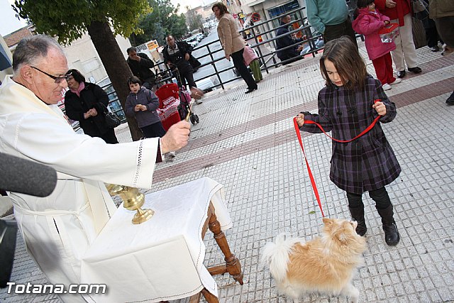Bendicin animales - San Antn 2012 - 214
