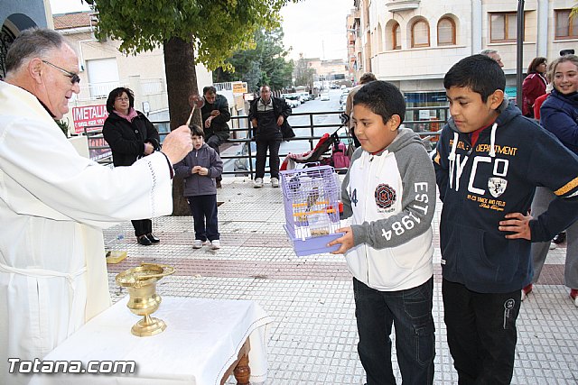 Bendicin animales - San Antn 2012 - 216