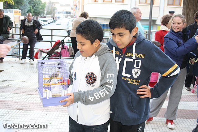 Bendicin animales - San Antn 2012 - 217