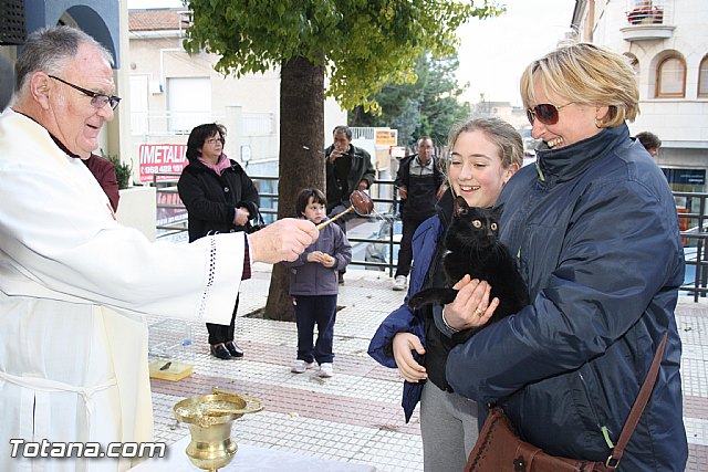 Bendicin animales - San Antn 2012 - 218