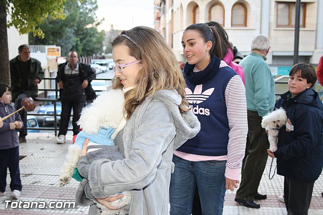 Bendicin animales - San Antn 2012 - 219