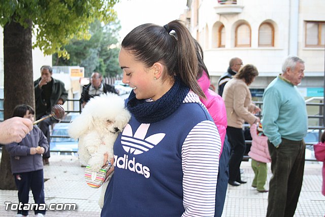 Bendicin animales - San Antn 2012 - 220