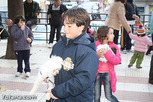 Bendicin animales - San Antn 2012 - 222