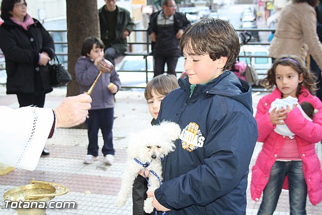 Bendicin animales - San Antn 2012 - 223