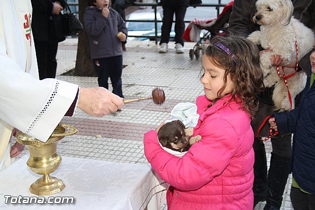 Bendicin animales - San Antn 2012 - 225