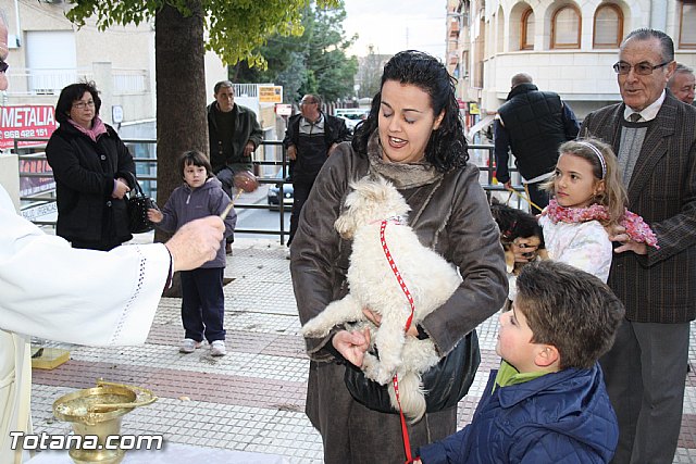 Bendicin animales - San Antn 2012 - 226