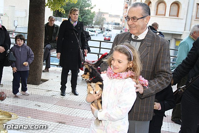 Bendicin animales - San Antn 2012 - 227