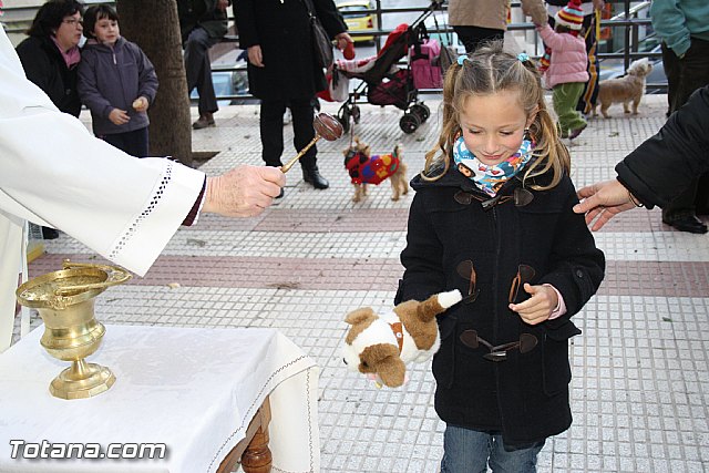Bendicin animales - San Antn 2012 - 228
