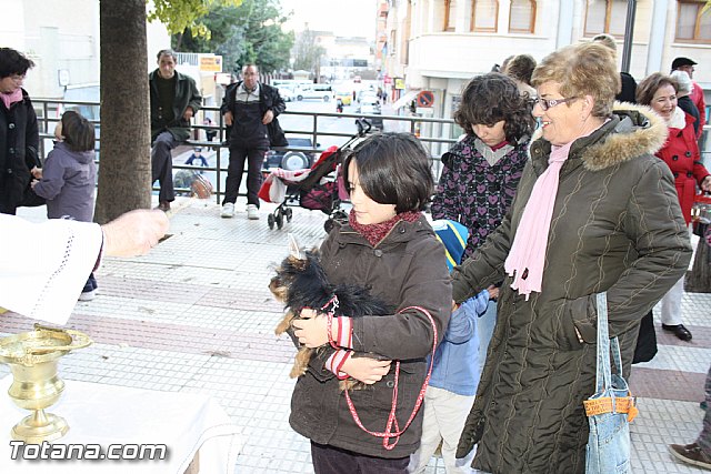 Bendicin animales - San Antn 2012 - 230