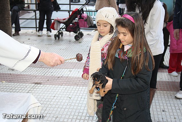 Bendicin animales - San Antn 2012 - 232