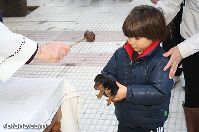 Bendicin animales - San Antn 2012 - 233