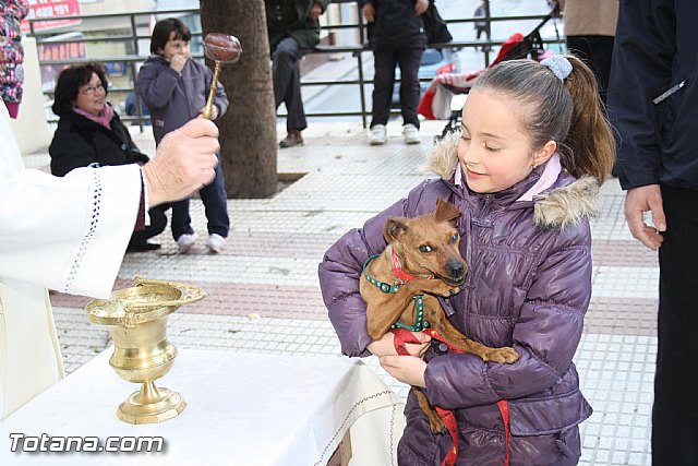 Bendicin animales - San Antn 2012 - 234