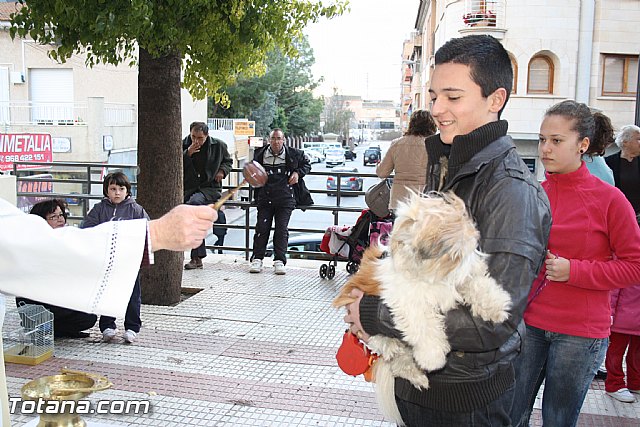 Bendicin animales - San Antn 2012 - 235